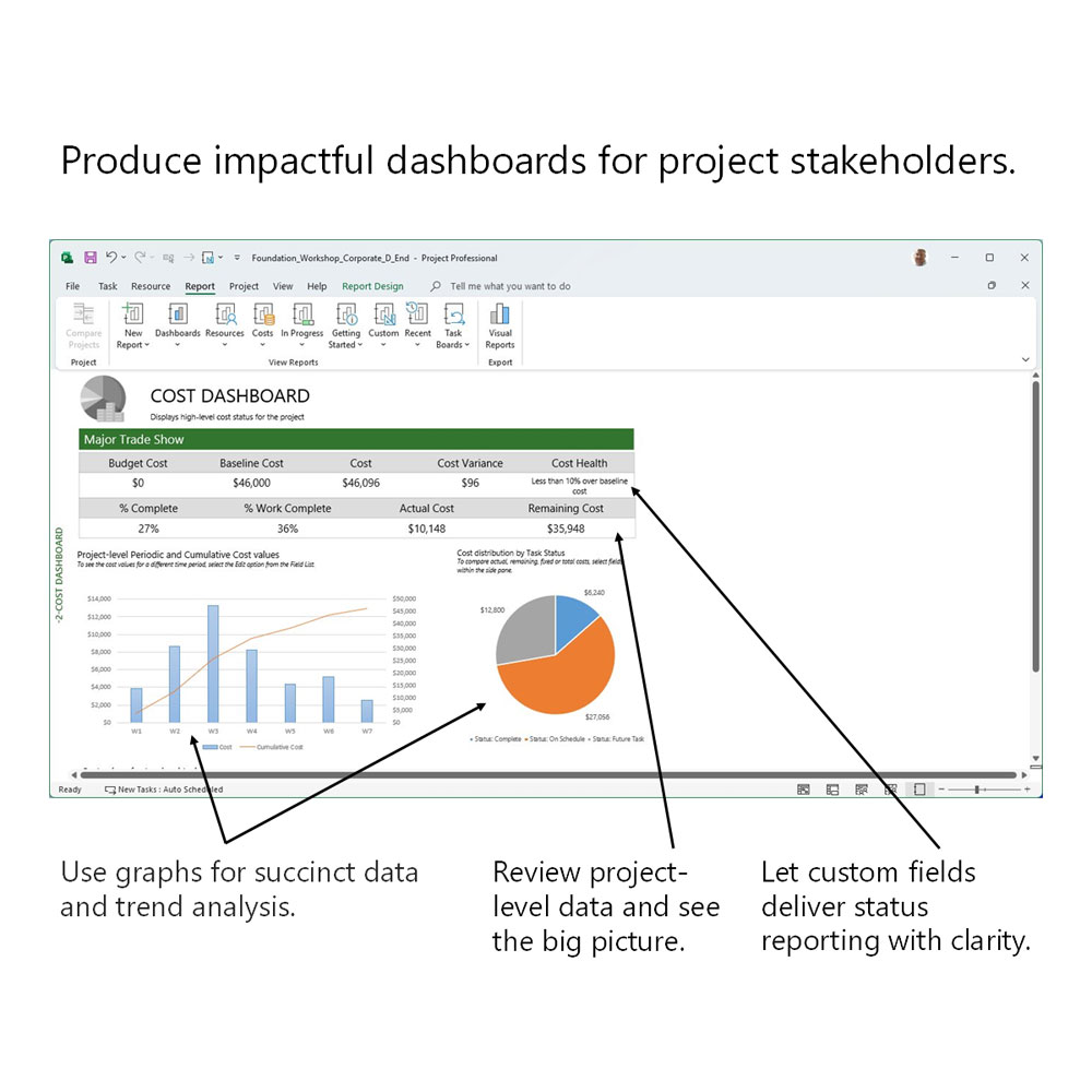 Project Guide for Microsoft Project